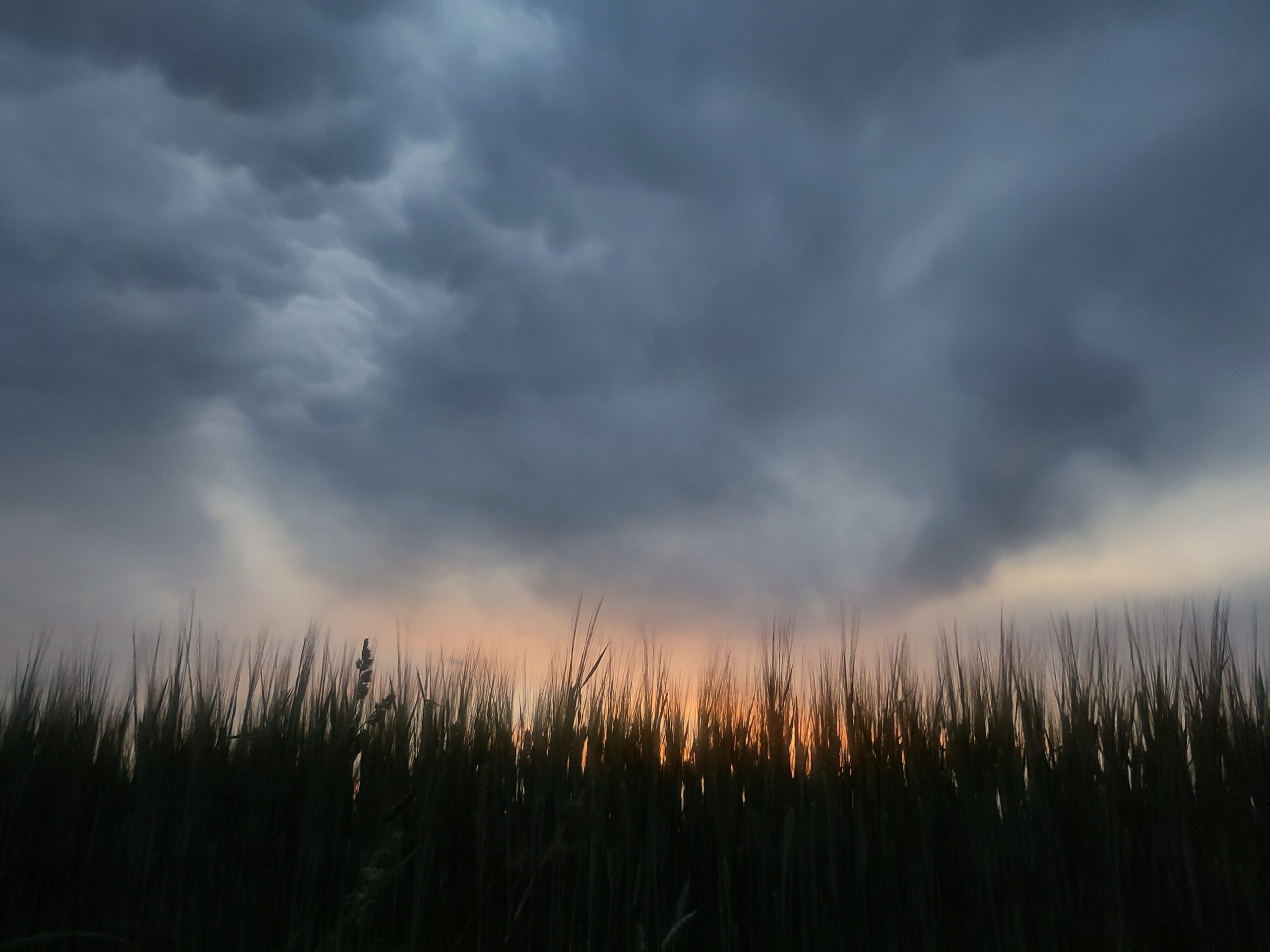 Nach dem Gewitter